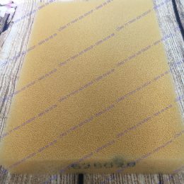 Foam ngoài trời